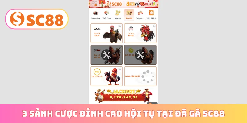 3 sảnh cược đỉnh cao hội tụ tại đá gà SC88